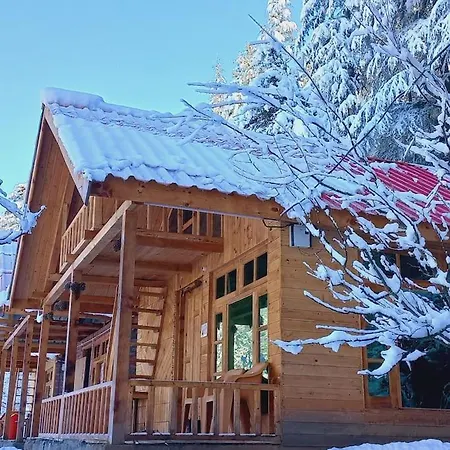 Himalayan Cedar Nest Sainj Exterior photo