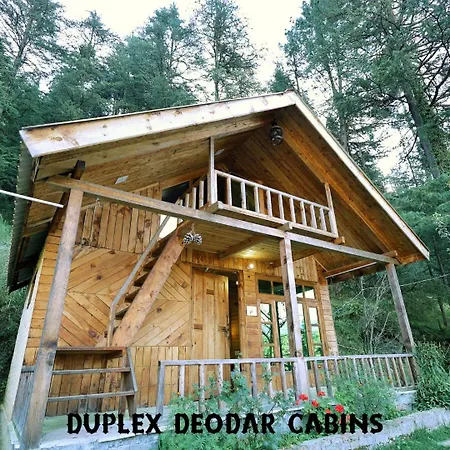 Himalayan Cedar Nest Sainj Exterior photo