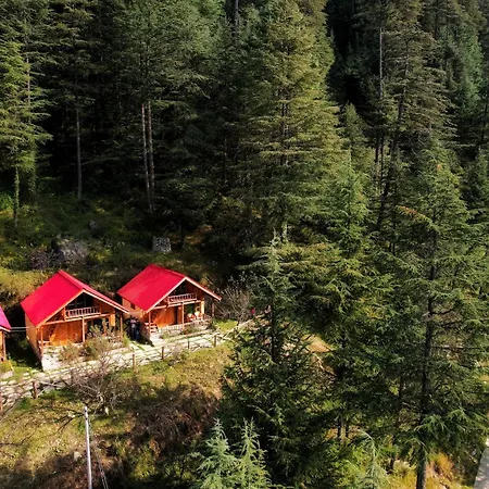 Himalayan Cedar Nest Sainj Room photo