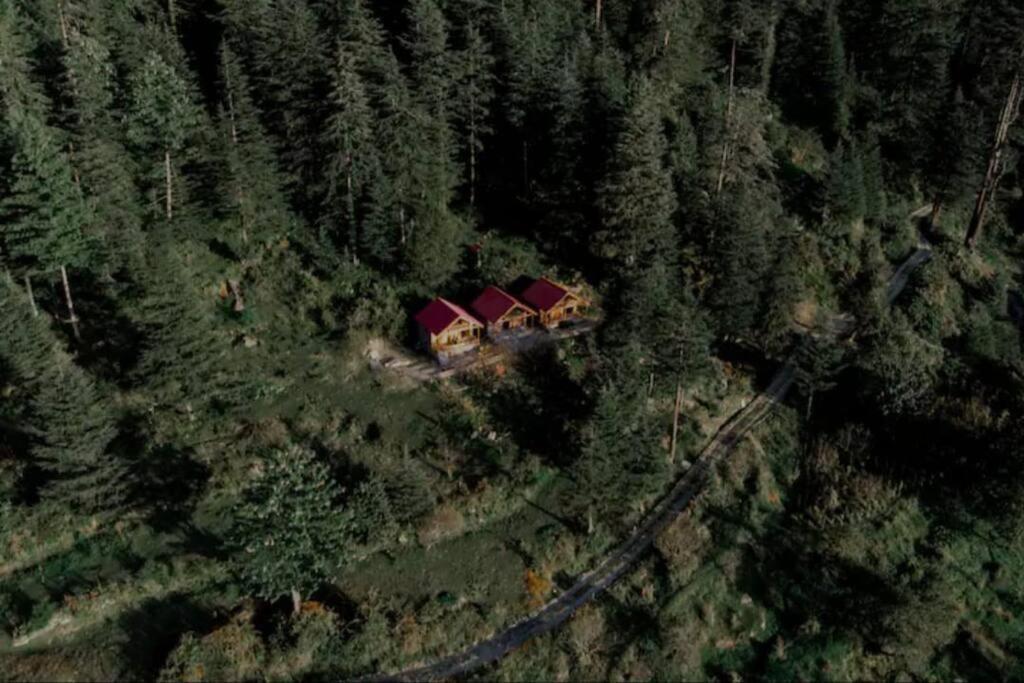 Chalet Himalayan Cedar Nest