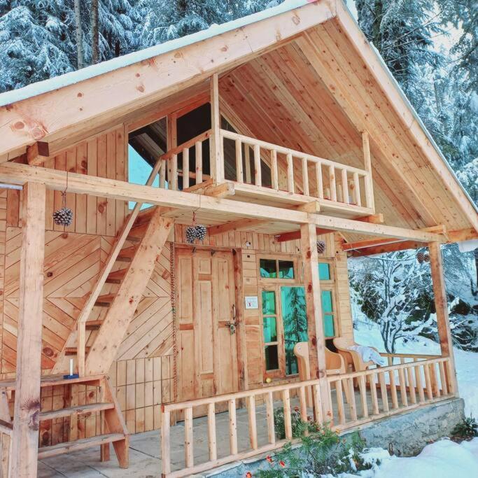 Himalayan Cedar Nest Sainj