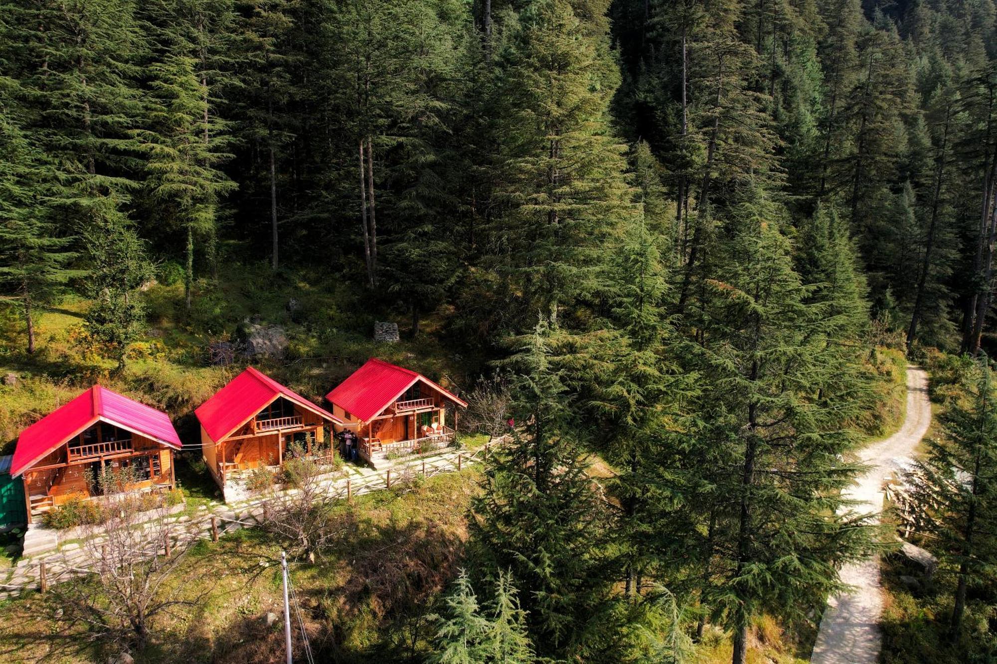 Himalayan Cedar Nest Chalet Sainj